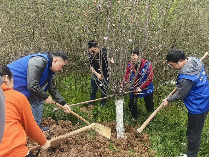 农工党荣昌区委会参加“共育同心林 共筑中国梦”游园暨植树活动2.jpg