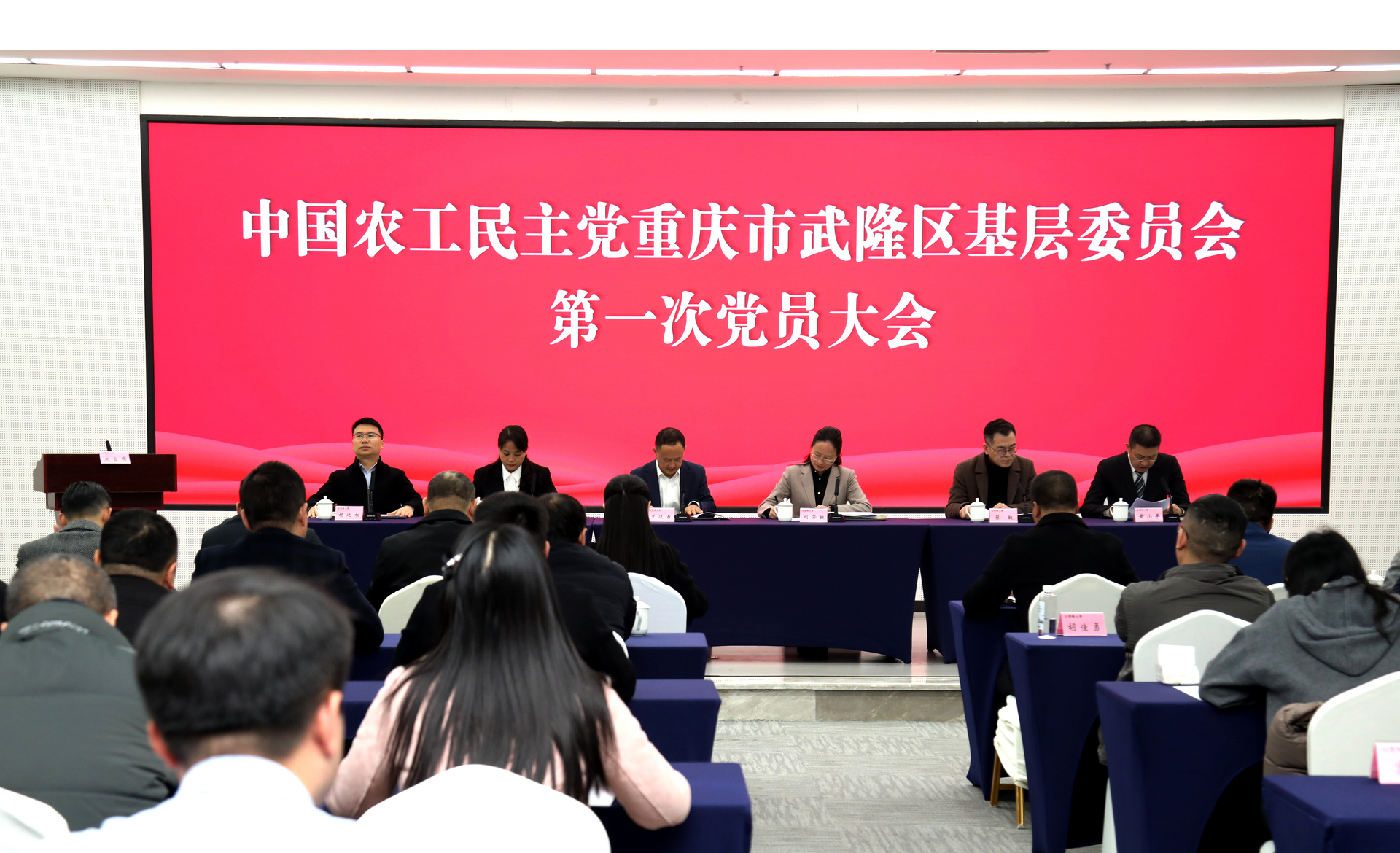 农工党武隆区基层委员会成立大会召开