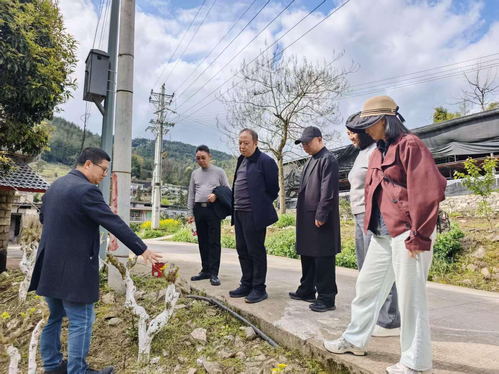 农工党黔江区基层委员会开展“情系双龙助振兴 健康关爱暖人心”调研走访活动图片1