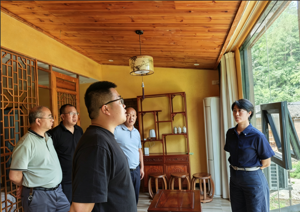 农工党黔江区基层委员会开展乡村旅游产业发展调研图片1